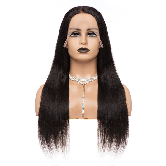 13×4 Straight Wig